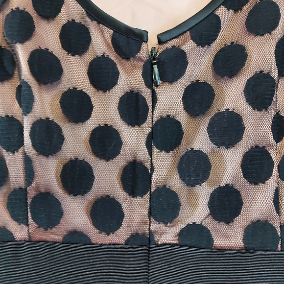 Eiza J Dot Mesh Fit and Flare Dress with pockets - Picture 13 of 15